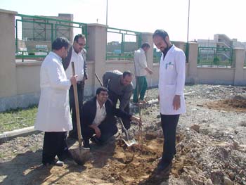 درختكاري