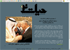 روزنامه حیات نو اقتصادی * www.hayateno.org